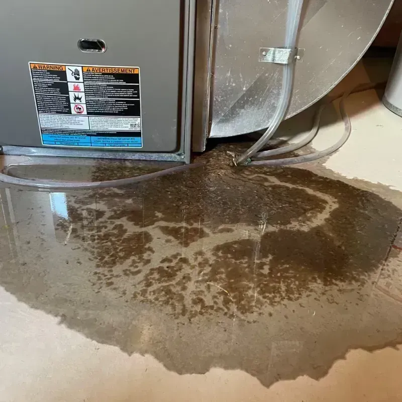 Appliance Leak Cleanup in Ozark, MO